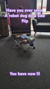 _Amazing Side Flip by Unitree Go2 Pro! _ See it Live with NextGen Ri’s Demo Dogs.mp4