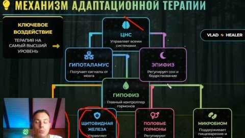 Что такое адаптационная терапия