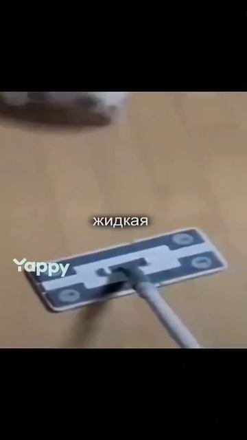 пукни