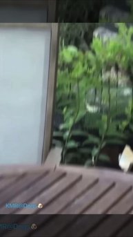 Теперь кот уверовал в кошачьего Бога🙏😂