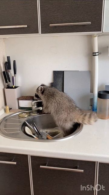 еще больше обо мне в моем телеграм канале 👆