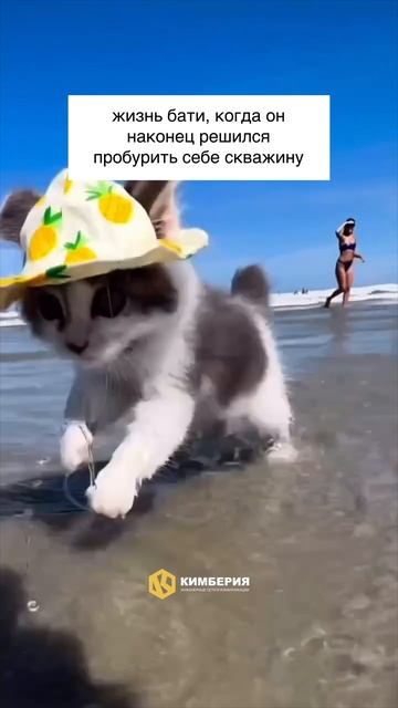 Маленькие радости жизни😂