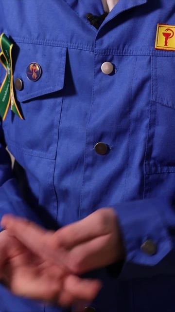 Рссийские студенческие отряды. 2