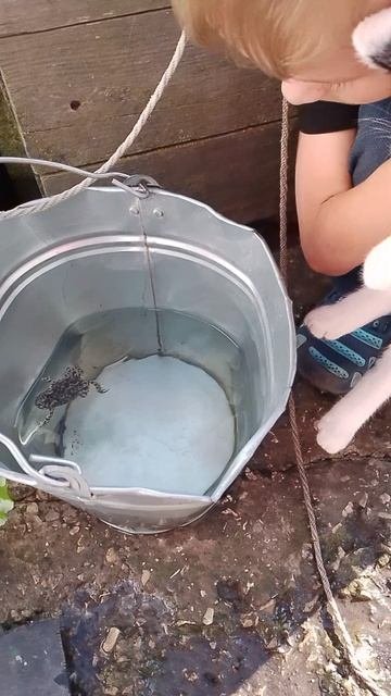 Зачерпнула из колодца царевну лягушку!!!