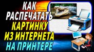 Как Распечатать Картинку из Интернета на Принтере