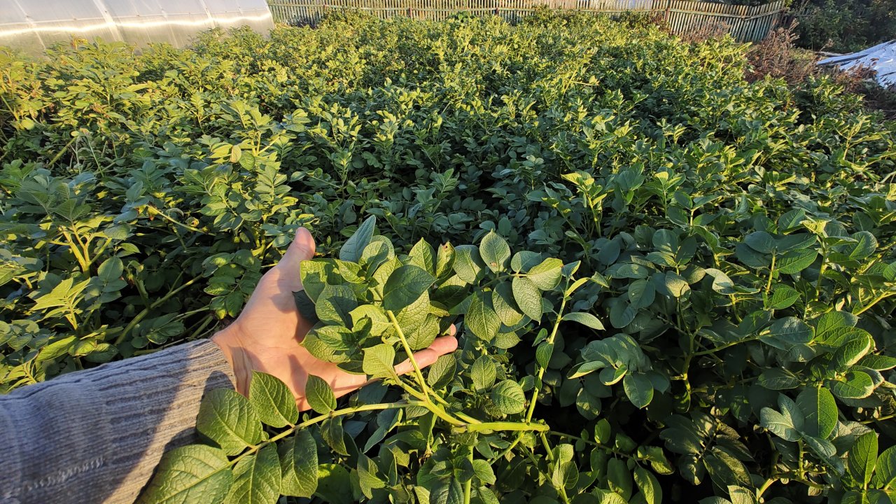 Сарпо Мира 2025. Часть 2