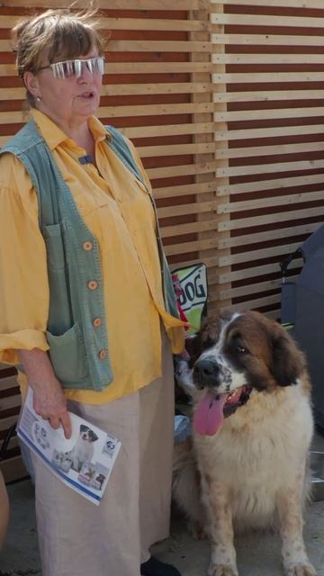 Московская сторожевая: друг с характером