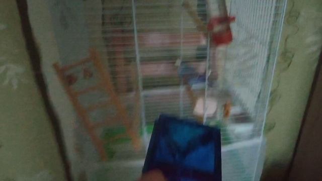мои новости