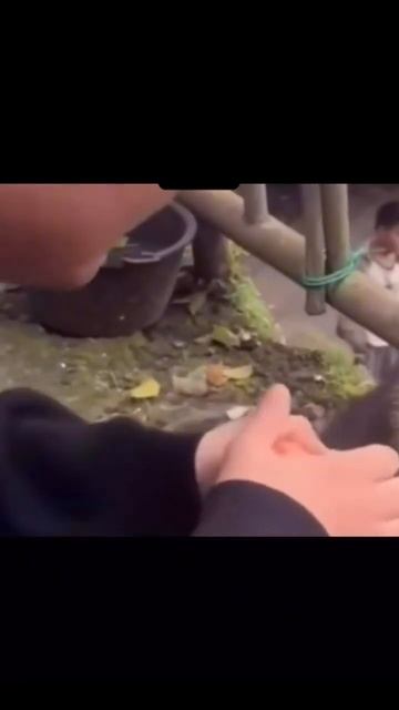 Бьюти мастер, когда с ним расплачиваются