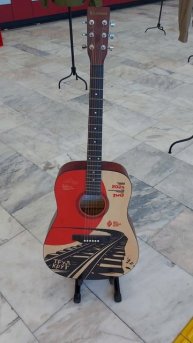 Гитары для студенческих отрядов. (1)