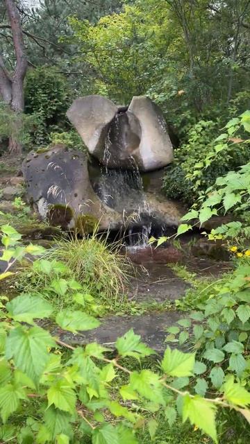 Бекстейдж из сада Людмилы Бубаник. Скоро выпустим видео, ожидайте на всех площадках