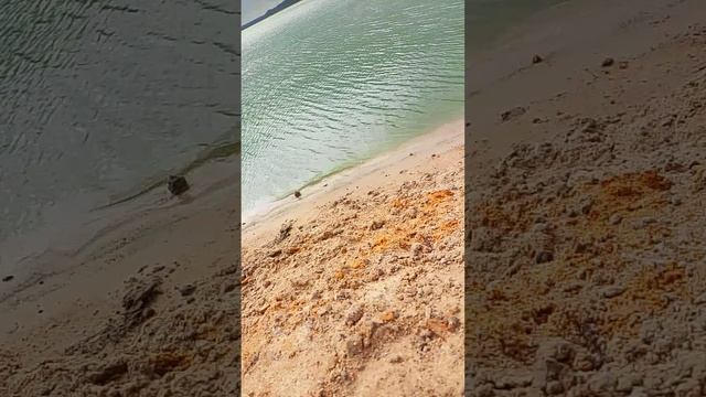 как всё было реально