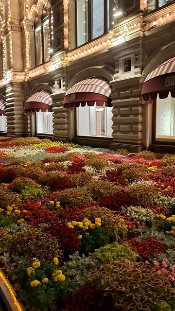 Красная площадь ГУМ Москва