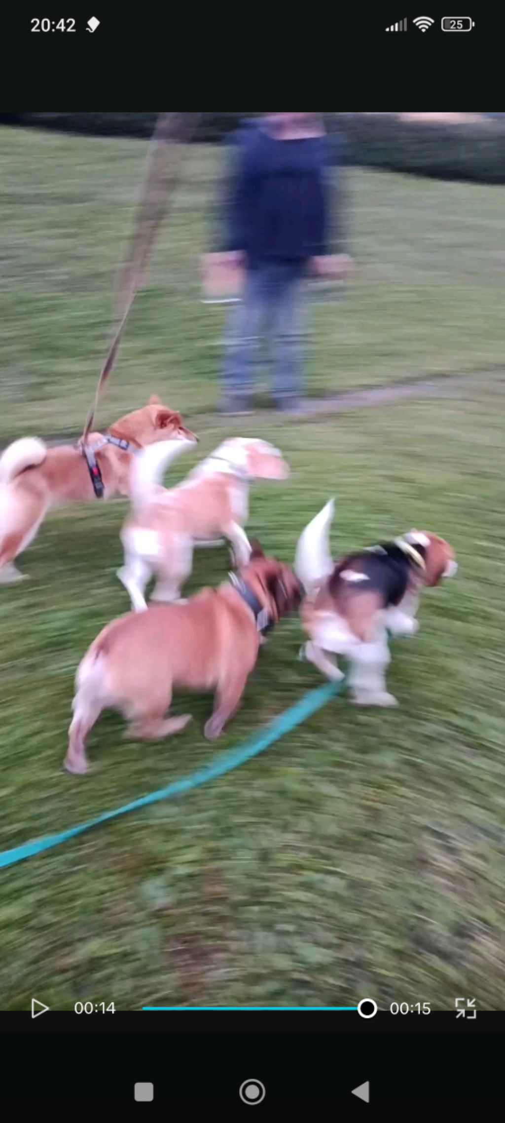 мы землекопы