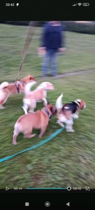 мы землекопы