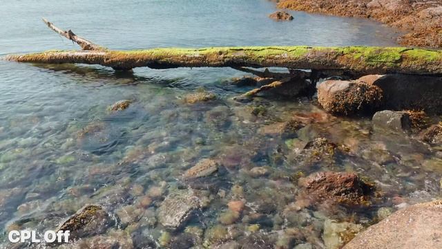 How to Use QuickLock Filters (And Why They Make a Huge Difference)