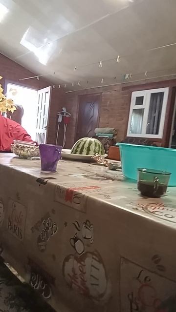 дед солить сало🤩