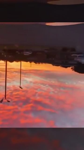 VID_20250814_135710_959.mp4