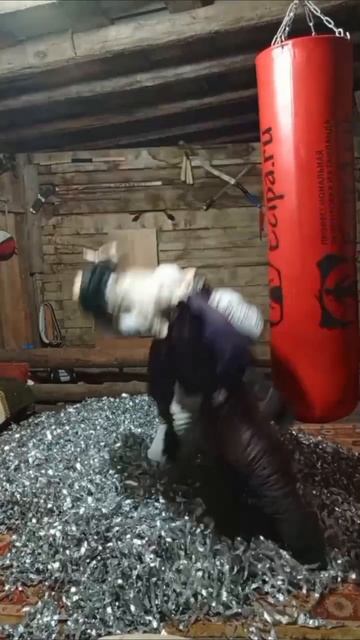 Assassin's creed 🦅
#assassinsceed #ezioauditore #videogame