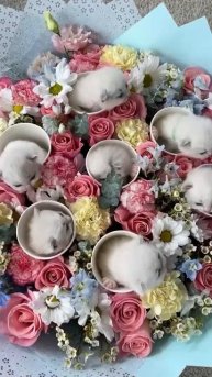 Милее букета вы уже не найдёте 👍