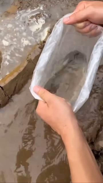 Лайфхак как найти что то в луже