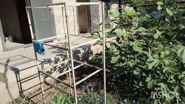 Новый день и много, много дел. Жизнь на юге.