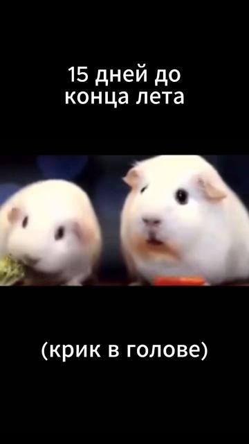 скоро конец лета