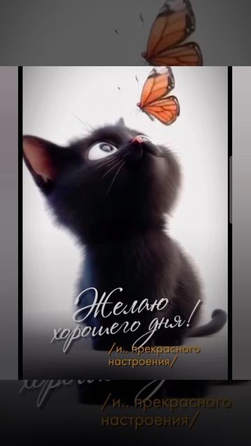 Доброе утро #доброеутро #благодарность