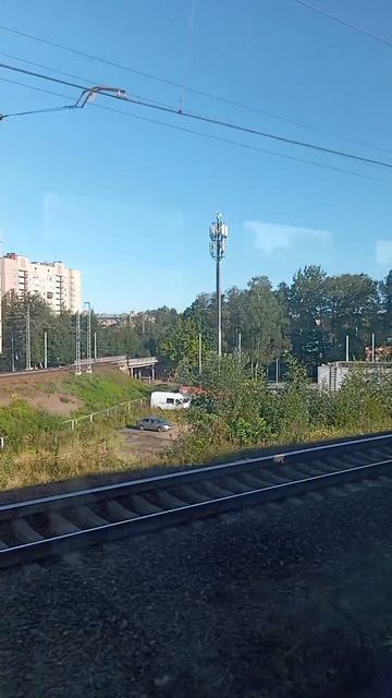 #shorts Кушелевка