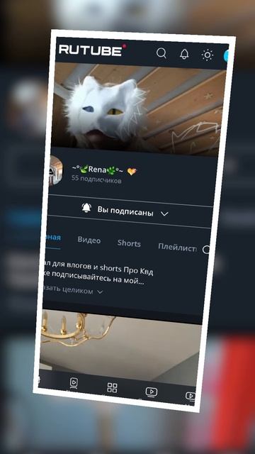 Рена,замееть пж