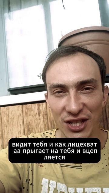 Бросающиеся в глаза ошибки