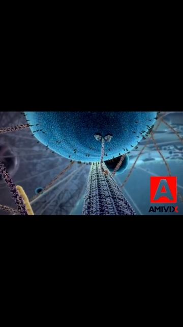 Просто о сложном