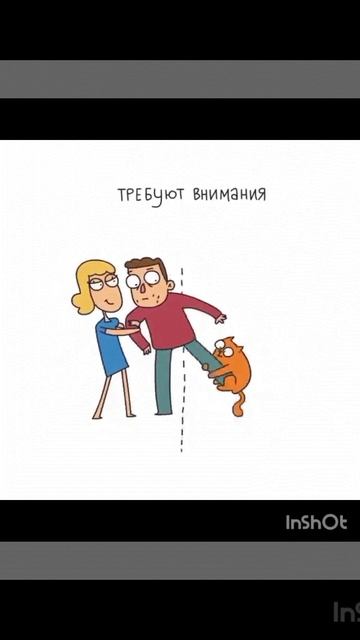 0340bb57-bfd2-43c8-9c36-838a2683a2c8.mp4