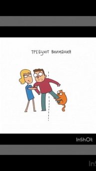 0340bb57-bfd2-43c8-9c36-838a2683a2c8.mp4