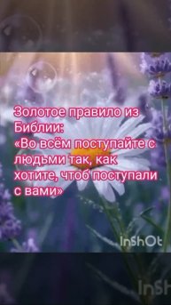 VID_20250816_191251_068.mp4