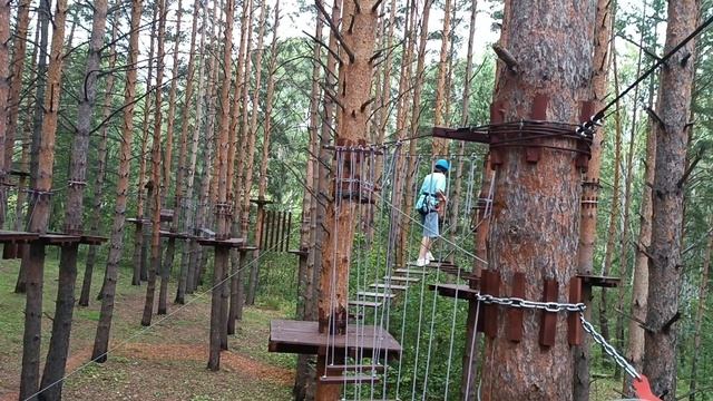 Беличья тропа