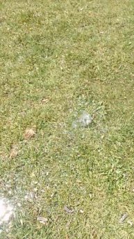 Мировой потоп, история повторяется