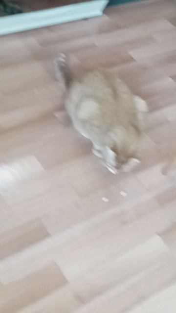 1000001184.mp4