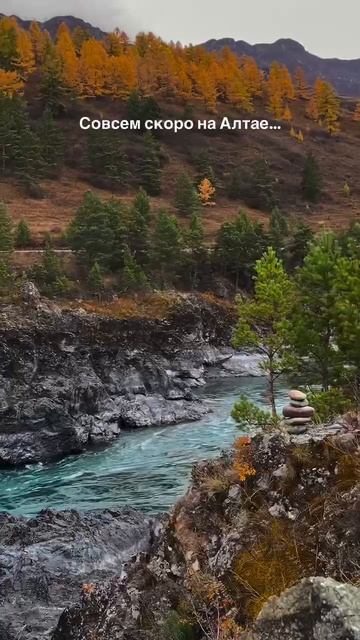 VID_20250816_184800_136.mp4