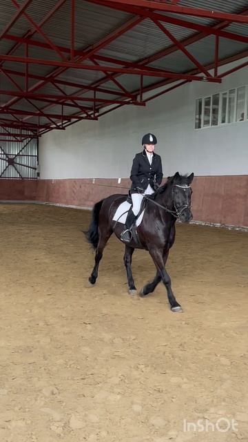 Манежная езда. Конный клуб.