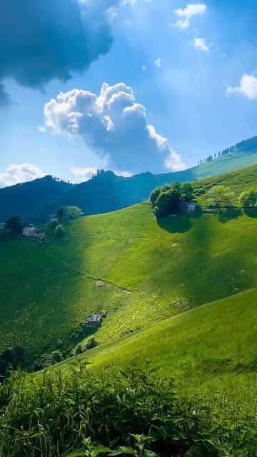 VID_20250816_141048_364.mp4