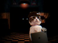 трансляция