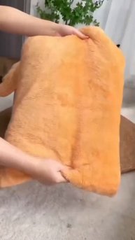 домик котика