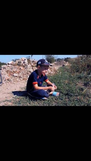 Нападение собаки на велосипедиста.                                                   Дельный совет