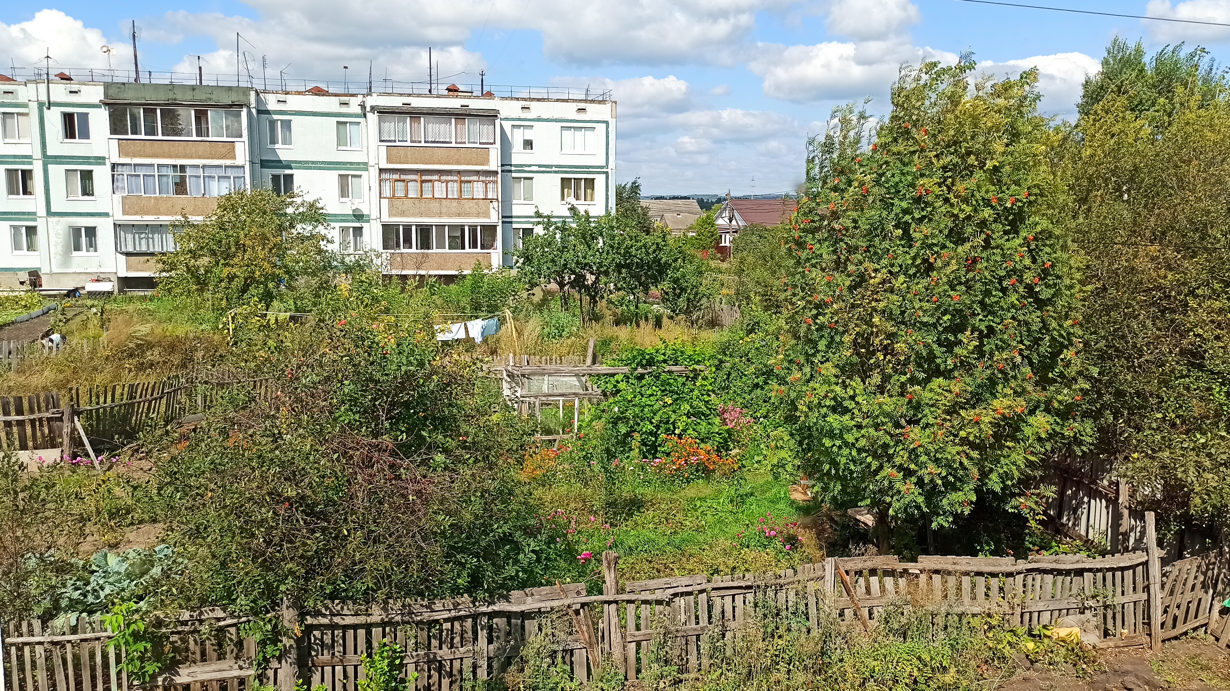 суббота в деревне