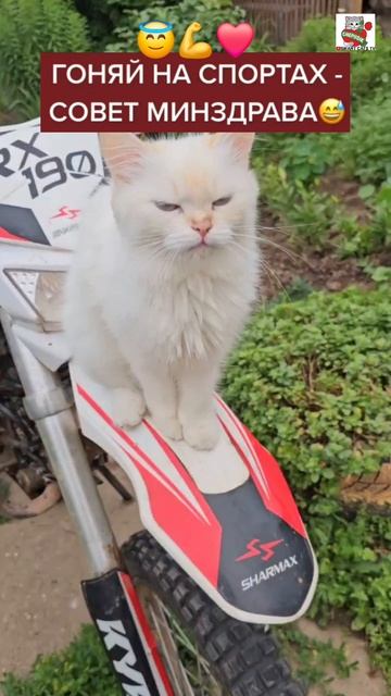 Совет минздрава 😇💪❤️🏍😻