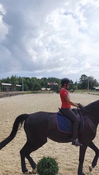 Оксана Новикова и Дольче Вита Нижегородский конный праздник, переход с галопа в рысь