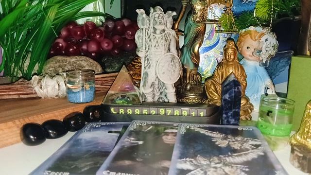 Кто делал магию и что делали? .mp4