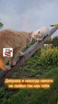 Ничто меня не радует больше чем Ты 😇🌞🌈💓🙏😻😻 Nothing pleases me more than You