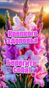 video_9702485857693.mp4